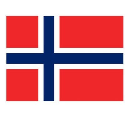 Gästflagga Norge 30 x 20 cm